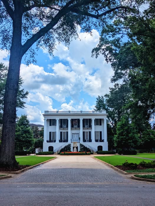 If you need us. we're here for you until 10PM tonight!

For details visit: lib.ua.edu/#/hours 

Chat with us ask.lib.ua.edu 

Book an appointment bit.ly/3owEZyx 

Access everything youtu.be/4tUkHVJKfvg
#wherelegendsaremade