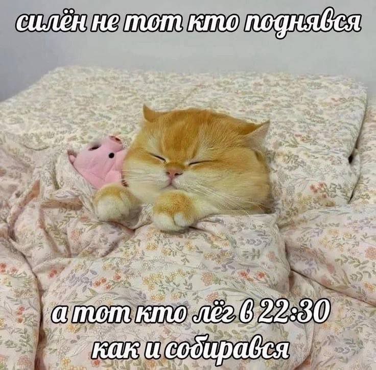 Сладких снов