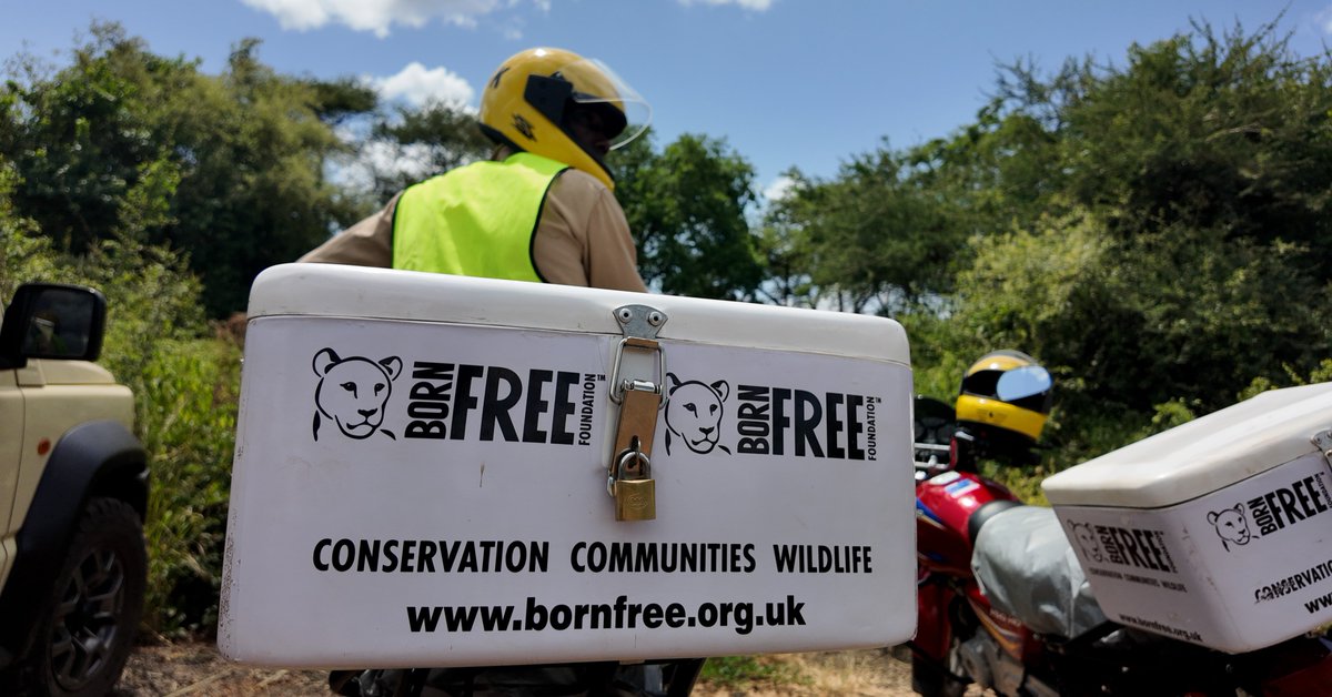 Our Community Conservation Ambassadors in Kenya are ready to hit the road on their new motorbikes, thanks to your generous donations! 🏍️

The team can now respond to conservation issues quickly &amp; effectively, helping protect wildlife and empower local communities. Thank you!