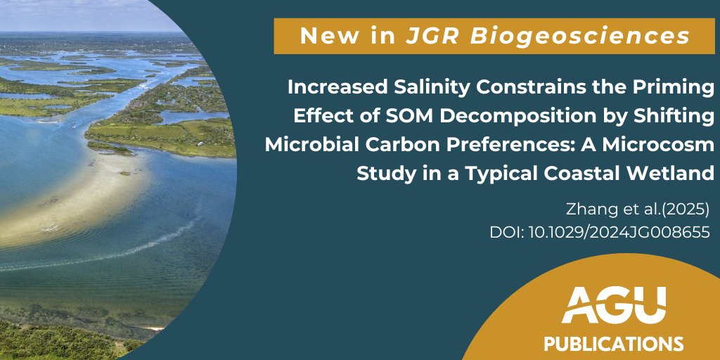 JGRBiogeo's tweet image. A new study tests how invasive plants and salinity stress affect the decomposition and storage of carbon in coastal vegetated ecosystems.

🔗Check out the results: doi.org/10.1029/2024JG…

#AGUPubs #Wetland #microbiology #invasivespecies @wileyearthspace
