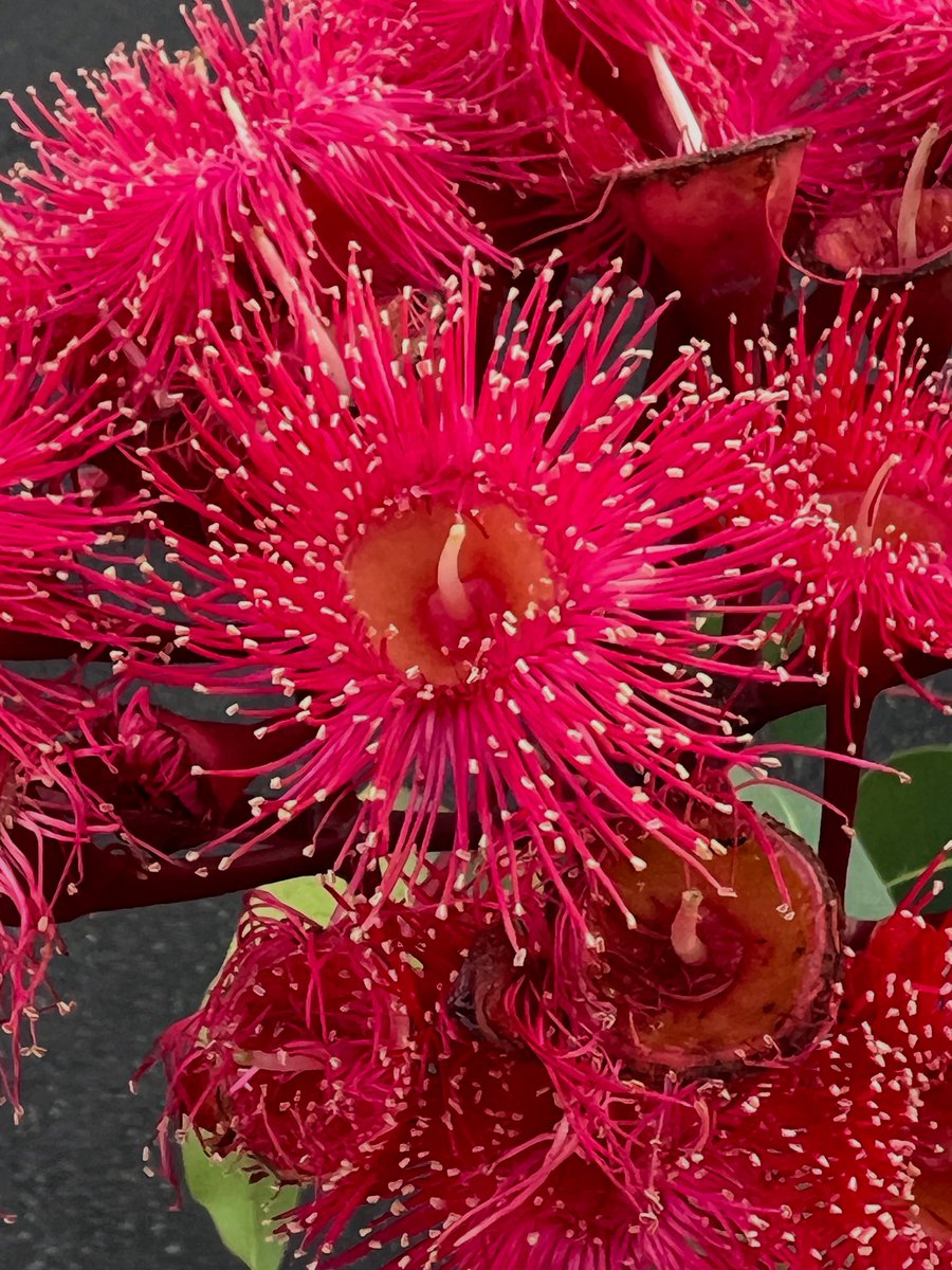 Happy Wednesday #bloomscrolling