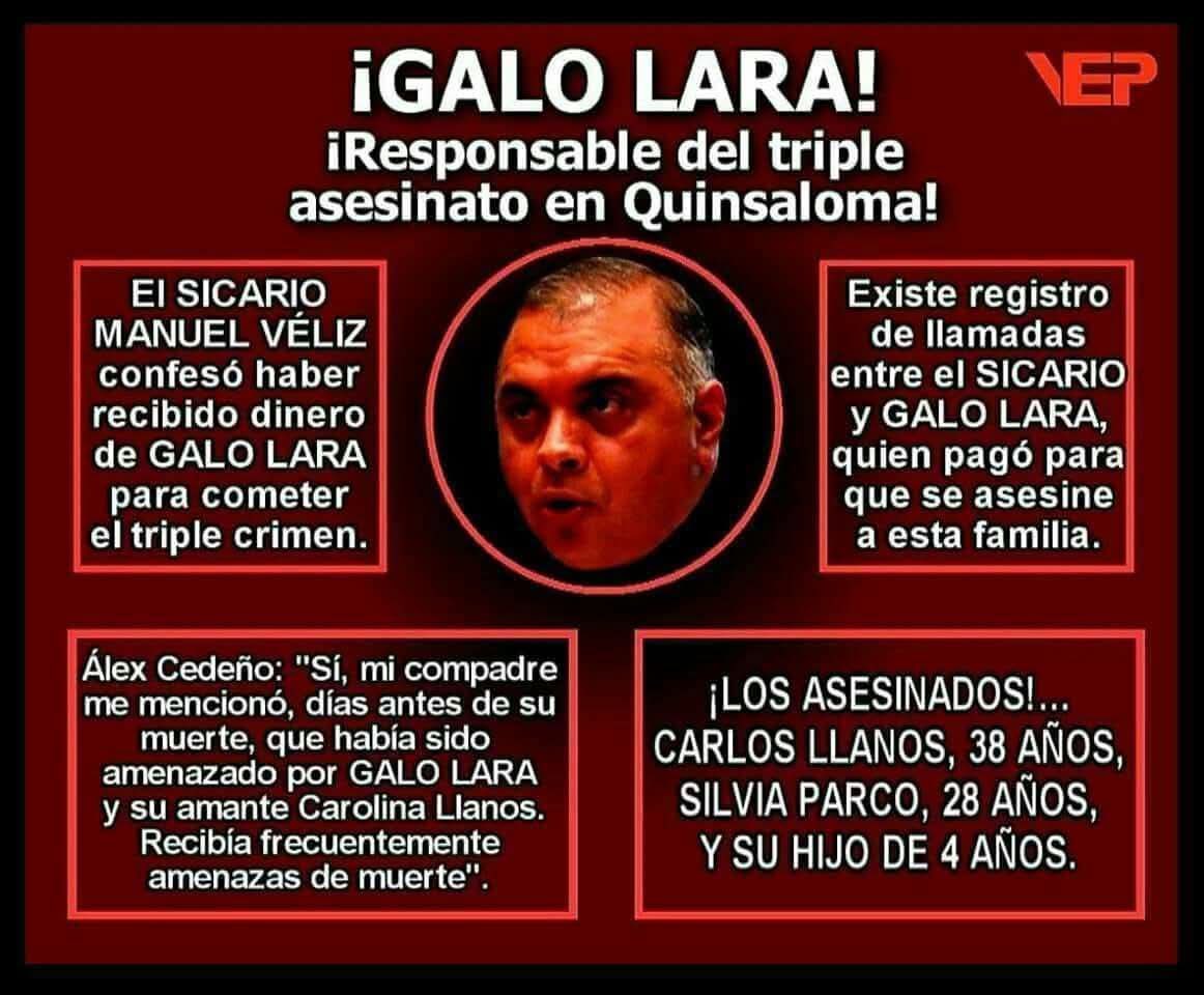 Pepotis's tweet photo. @GaloLaraY https://t.co/67sCt6uB0n