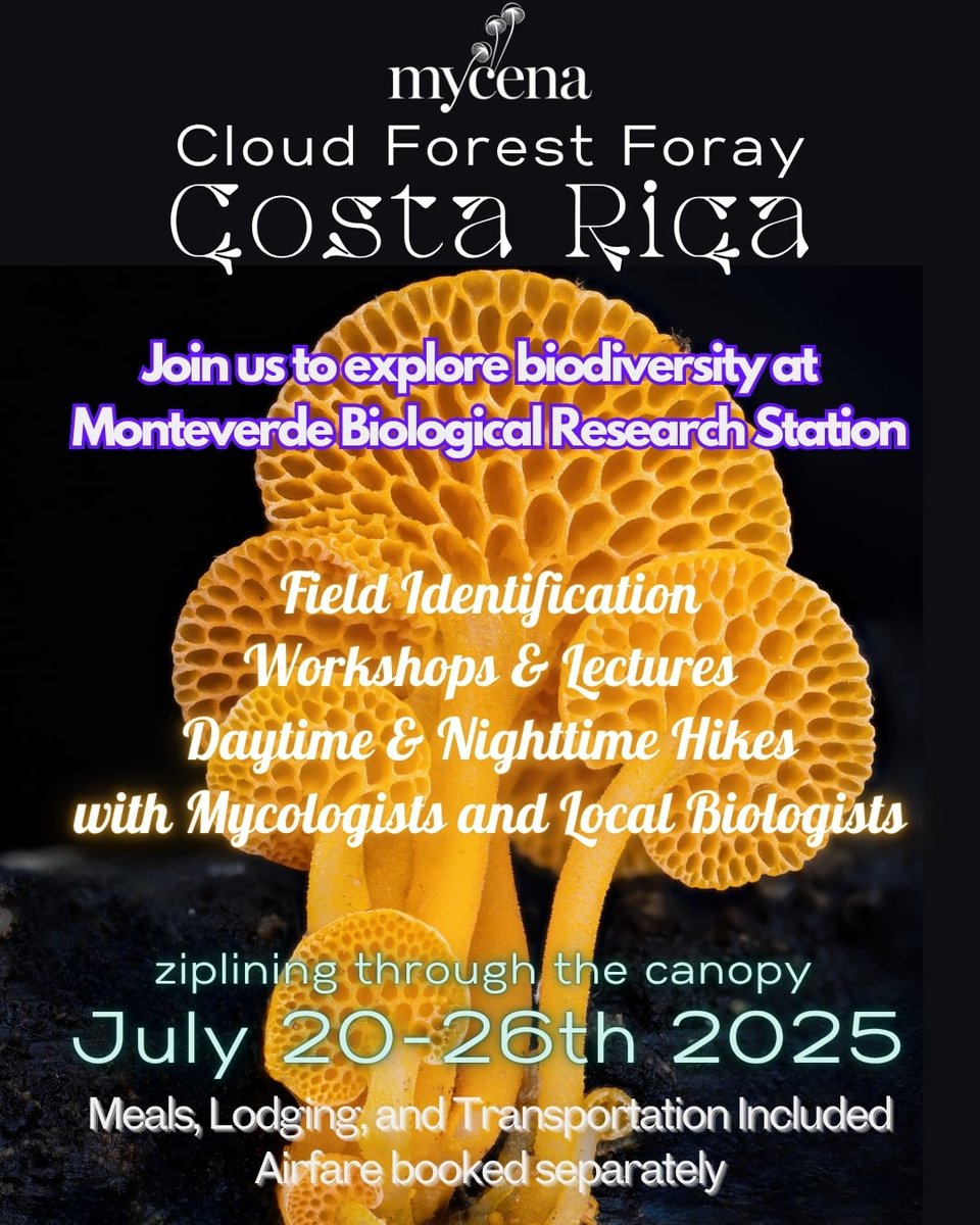 AlanRockefeller's tweet image. Mushroom foray at a biological research station in the Monteverde Cloud Forest of Costa Rica July 20 - 26.

mycena.llc/costa-rica-for…