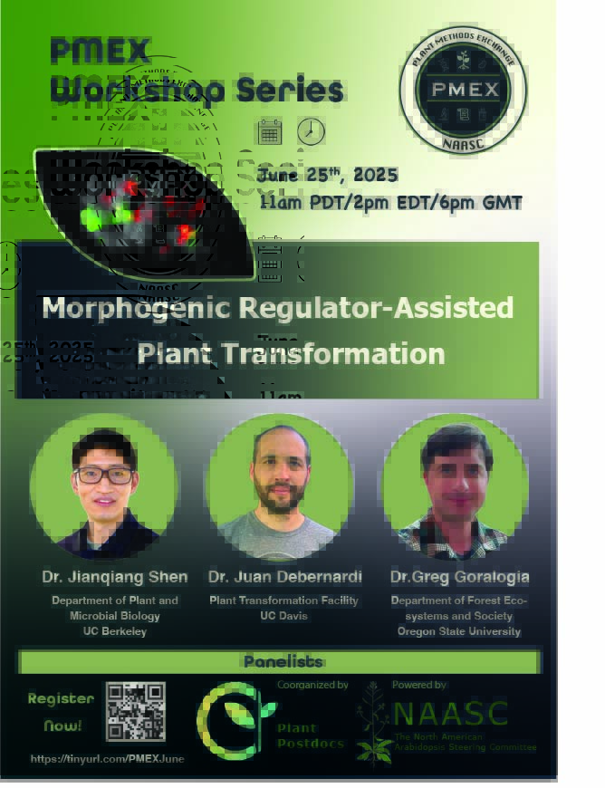 Morphogenic Regulator-Assisted Plant Transformation
📅 June 25, 2025
🕚 11 AM PDT | 2 PM EDT | 6 PM GMT
🧬 Dive into cutting-edge strategies for enhancing plant transformation efficiency