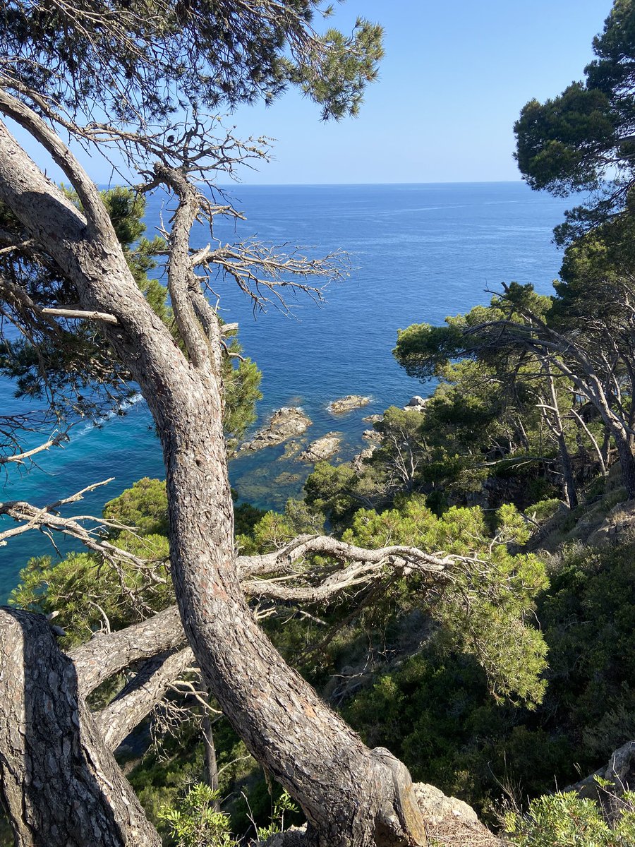Disfrutant dels últims dies de calma abans no arribi la marabunta, i continuant amb la meua fixació amb Nàpols. Toooot culpa de <a href="/CraterEdicions/">Cràter</a> 🤭