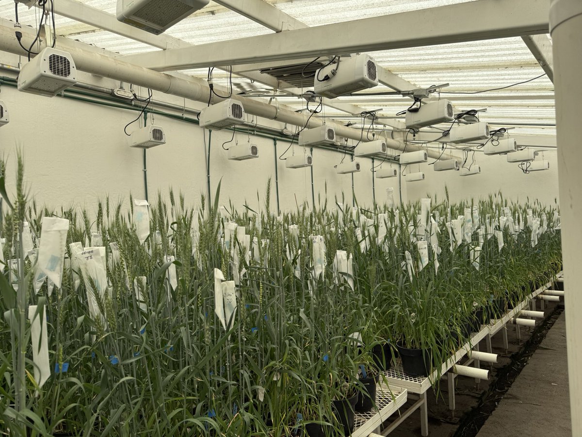 Velu Govindan tweet media