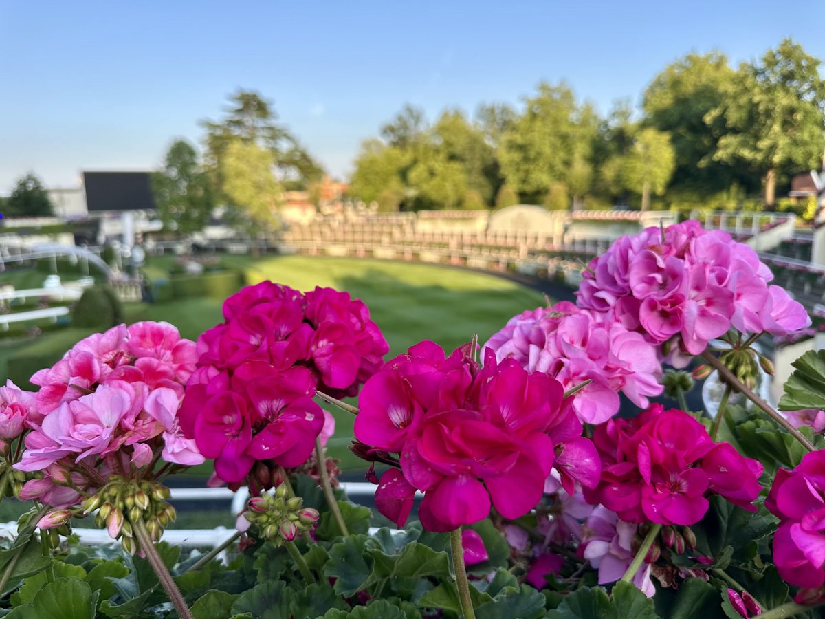 Emma Berry (@collingsberry) on Twitter photo All quiet for now. Back tomorrow. All quiet for now. Back tomorrow.