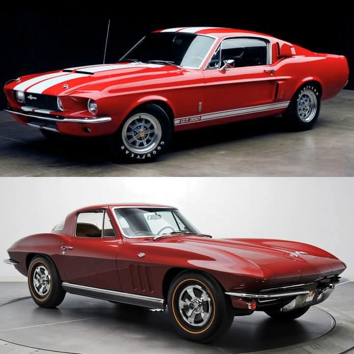 Top or Bottom 🤔