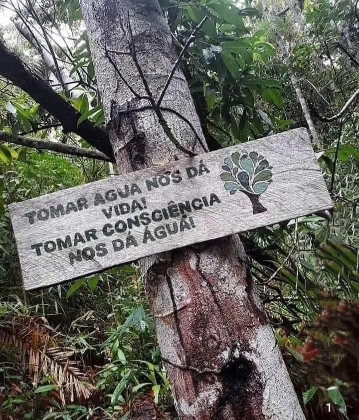 projetolixotec's tweet image. 