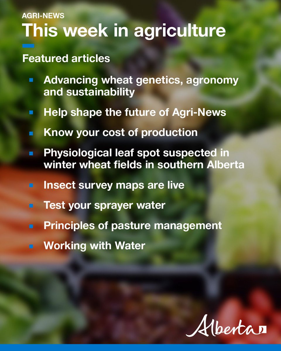 Alberta Agriculture and Irrigation (@albertaag) on Twitter photo This week in Agri-News:  
🌾 Advancing wheat genetics
💰 Know your cost of production
🐜 Insect survey maps are live
🚰 Test your sprayer water
🐄 Principles of pasture management
💧 Working with Water
🗓️ Markets, events and more!
secure.campaigner.com/CSB/Public/arc… This week in Agri-News:  
🌾 Advancing wheat genetics
💰 Know your cost of production
🐜 Insect survey maps are live
🚰 Test your sprayer water
🐄 Principles of pasture management
💧 Working with Water
🗓️ Markets, events and more!
secure.campaigner.com/CSB/Public/arc…