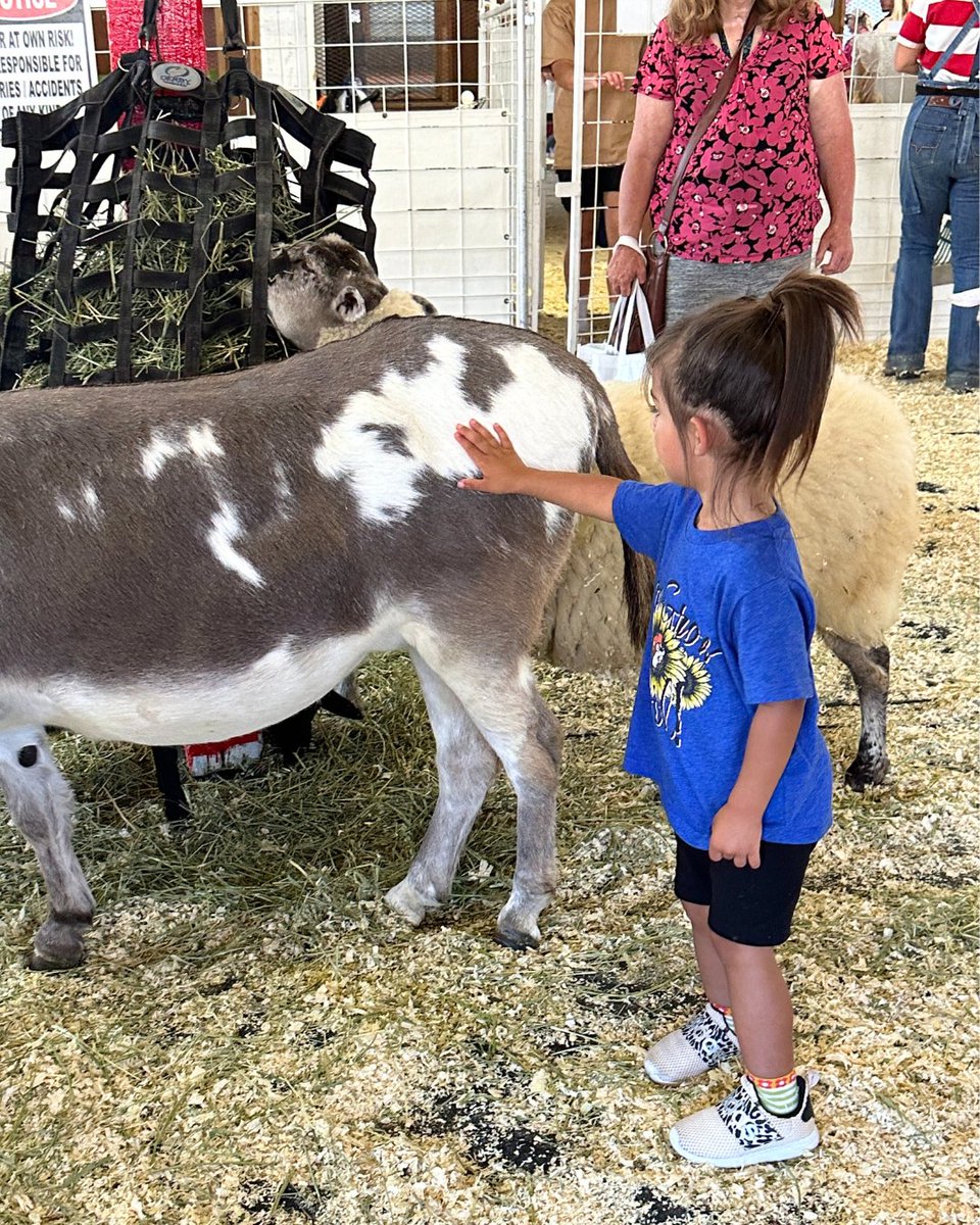 The Great American Petting Farm has been part of the Colorado State Fair family for years- sparking smiles, giggles, and a few goat selfies along the way. 🐐📸 The best part? Entrance is FREE with your admission ticket to the fair! 💚 
#ColoradoStateFair #GrowingTheTradition