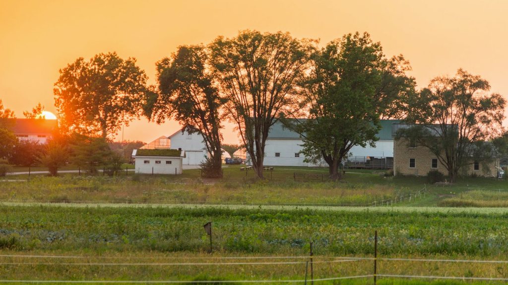 Old McDonald had a farm e-i-e-i-o. Come tour the Old McDonald Farm at the Conservation Foundation on July 16th from 4:30pm - 6:30pm. The cost is $20 and includes picnic dinner with sandwiches and beverages, networking, and a tour of the farm. ow.ly/C45650W7jcy
