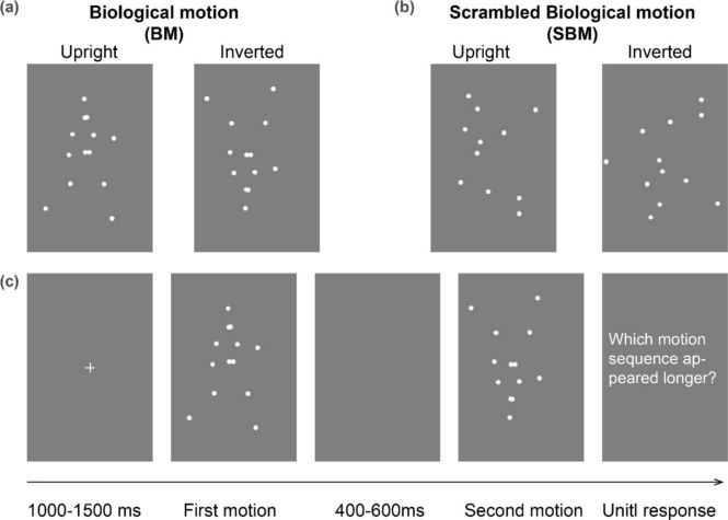 Psychonomic_Soc's tweet image. When you see someone move, your brain doesn’t just watch - it joins in! 🧠💃 New #psynomBRM study by Shen @xiaoshan2012 and colleagues shows how posture and spinal cord injury affect your perception of biological motion.
Post by Anthony Cruz buff.ly/VjfCRH2