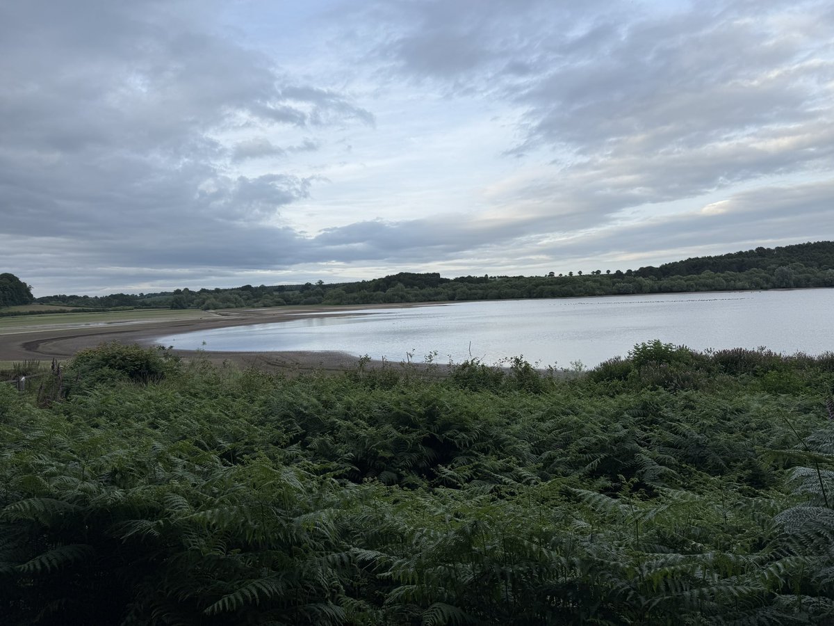 Jamie Hicken (@jamiehicken) on Twitter photo Blithfield Tad Bay 7pm-8:30pm. 5 RP, 2 LRP, 6 Oystercatcher, 2 Egyptian Goose, 8 Shelduck (4 juveniles), 5 Teal, YL Gull, 2 GBBGull, 22 HMs gathering mud <a href="/Staffsbirdnews/">Staffs Bird News</a> Blithfield Tad Bay 7pm-8:30pm. 5 RP, 2 LRP, 6 Oystercatcher, 2 Egyptian Goose, 8 Shelduck (4 juveniles), 5 Teal, YL Gull, 2 GBBGull, 22 HMs gathering mud <a href="/Staffsbirdnews/">Staffs Bird News</a>