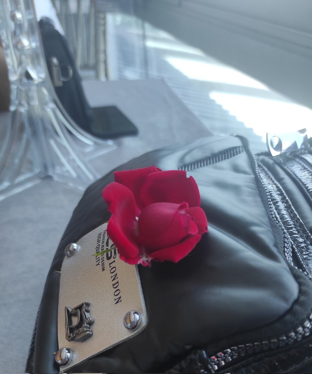 Bu dünyanın cenneti neresidir deseler
Bir insanı beklentisiz çıkarsız sevendir derim

İyi aksamlar