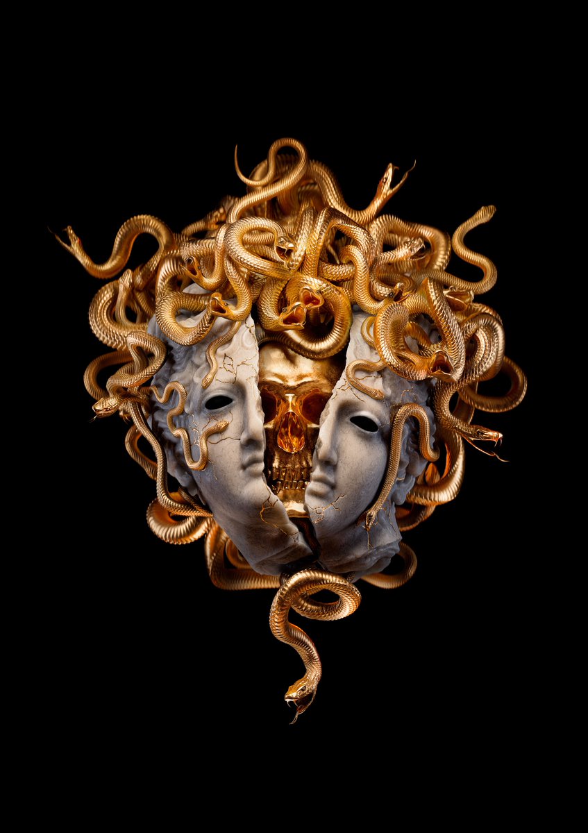 VENENATUS ~ JUNE 26 🐍💛🐍