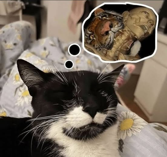 vinoypastis (@vinoypastillas) on Twitter photo 