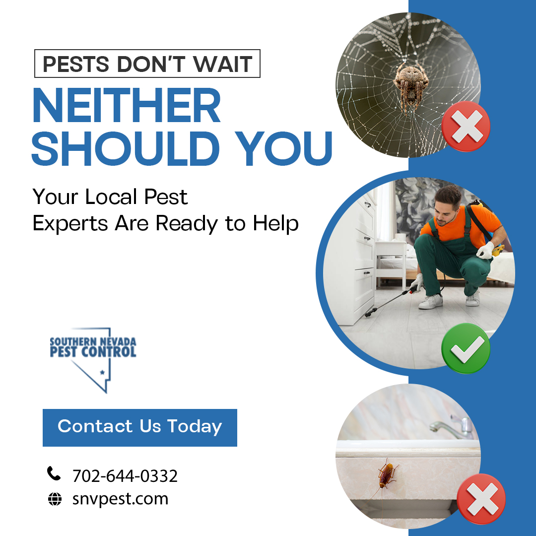 SNVPest's tweet image. 🚨 Dealing with pests in your home or business? We offer fast, safe, and reliable pest control across Las Vegas &amp;amp; surrounding areas.

From roaches to rodents, we’re here to stop them before they get worse.

📞 702-644-0332
🌐 snvpest.com

#EmergencyPestControl