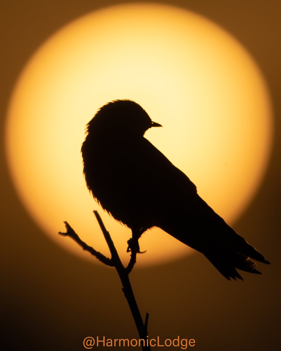 A good morning indeed 🌄