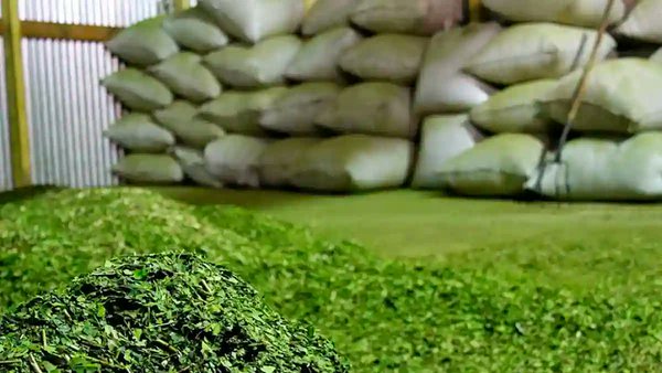 BAJAMOS COSTOS PARA LOS PRODUCTORES DE YERBA MATE. La Resolución 61/2025 con firma del Directorio del INYM (Instituto nacional de la Yerba Mate) elimina el "Certificado de análisis de laboratorio de yerba mate".

Este certificado estaba en clara superposición con el código