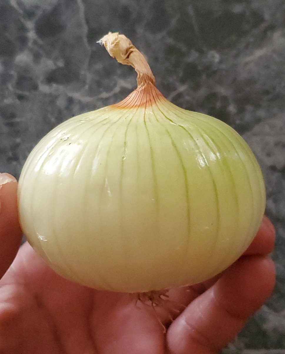 MayzeRunnuh's tweet image. Kick, Punch, it's all in the mind... #OnionMaster #playstation #GamersOnly