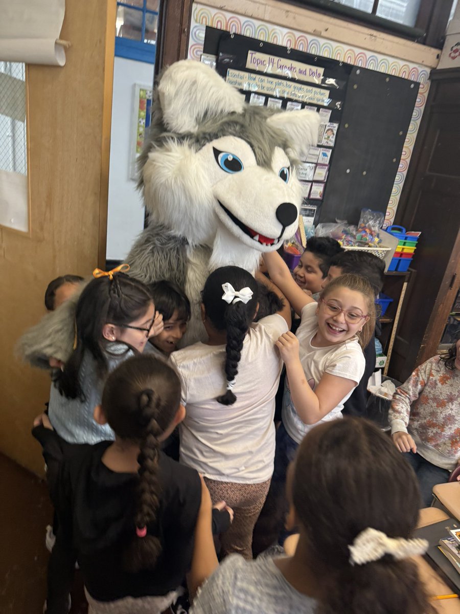 P.S. 91Q Huskies tweet media