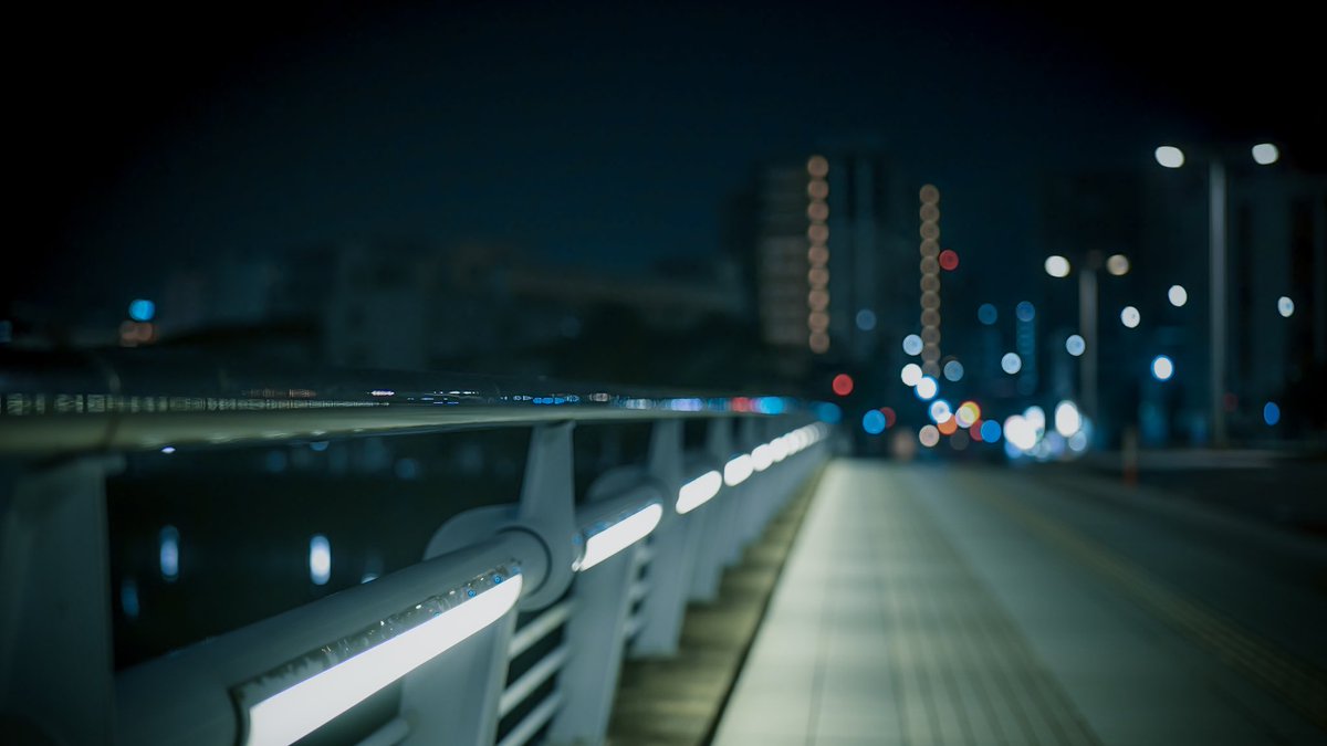 Naonox_photo's tweet photo. 飼い慣らしたはずの孤独が噛み付いてくる。 https://t.co/mZCejdrymx