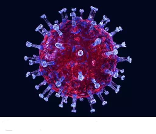 Darshniksamacha's tweet image. #लखनऊ में कोरोना के 4 नए केस मिले: संक्रमित महिला की हालत गंभीर, ट्रॉमा सेंटर में भर्ती; 24 घंटे में राज्य में 64 नए मामले आए। #coronavirusupdate
#Lucknow