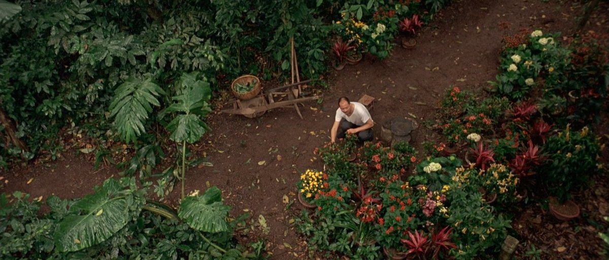 acacinema's tweet image. The Chinese Botanist&apos;s Daughters.