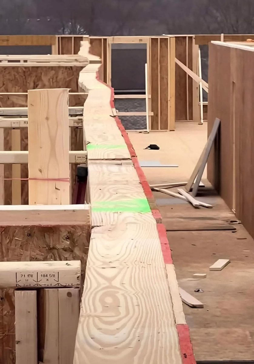 This new build is coming along quite well!

Easy money...