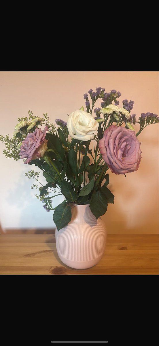 Niamh Fitzpatrick tweet media