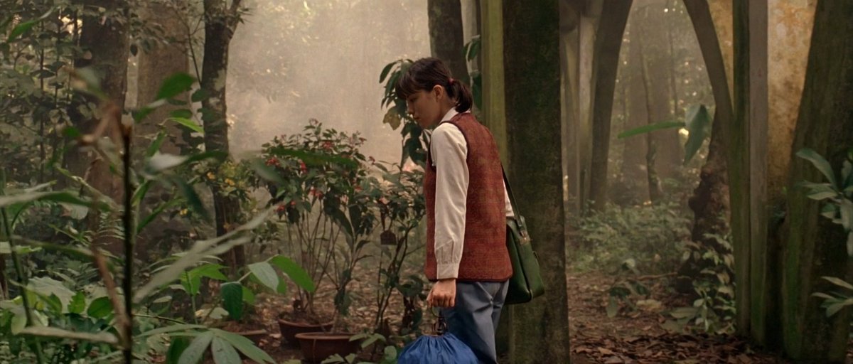 acacinema's tweet image. The Chinese Botanist&apos;s Daughters.
