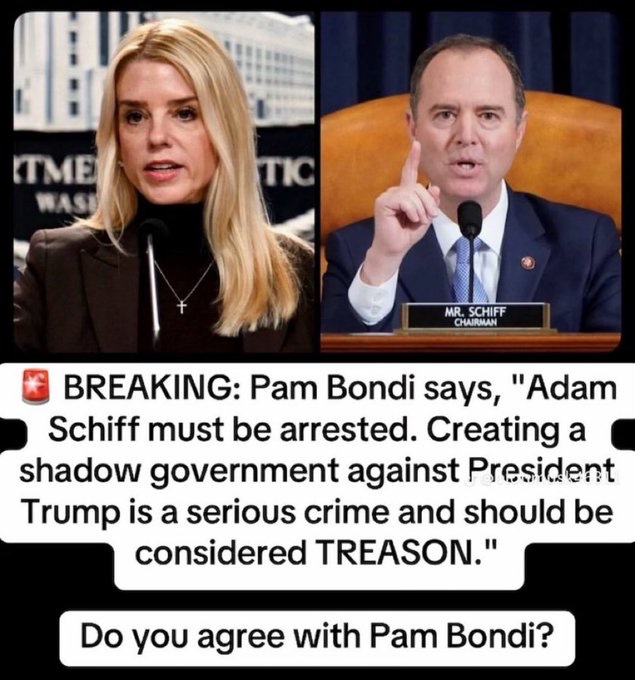 PatriotXV11's tweet image. I understand your point Mr. Russian Dossier! It is sort of like a sitting Senator that forms a shadow government against the duly elected President of the United States in order to take him down. A treasonous act for sure!