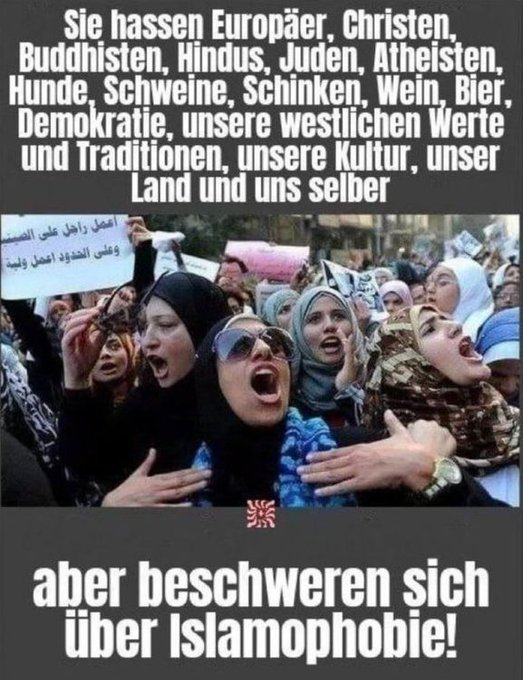 elke0503's tweet photo. Wann findet endlich Remigration statt! Deutschland wird islamisiert. Der Kippunkt ist bald erreicht! https://t.co/7SKKcI9Eez