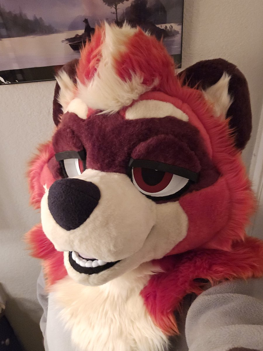 RustyRedBandit's tweet image. I know this is a late trend but I really wanted to do it now that I got my partial!~

Suit Vs Suiter~ 🦝 🔥