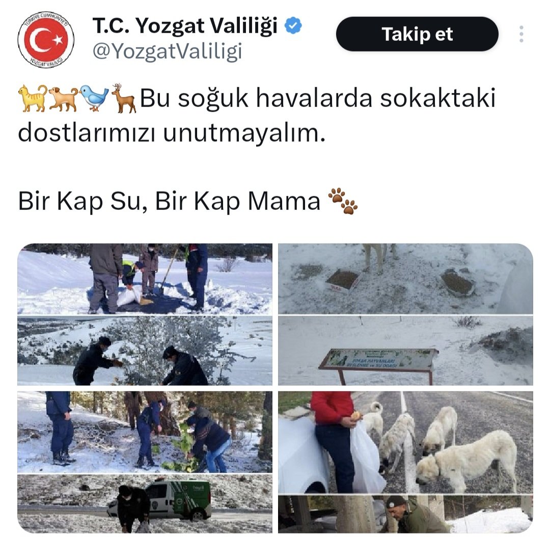 Sokaklardaki köpekleri topladınız da köyler kaldı. 
Hedef saptıma paylaşımı bu. 
Suçunuzu gizliyorsunuz. 
Yozgat'taki köpekleri toplayın.