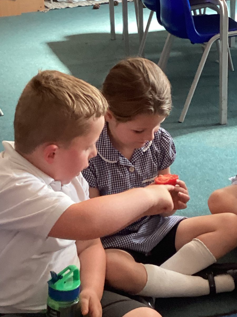 Year 1 planted different seeds and made predictions about which they thought would grow the quickest and why!