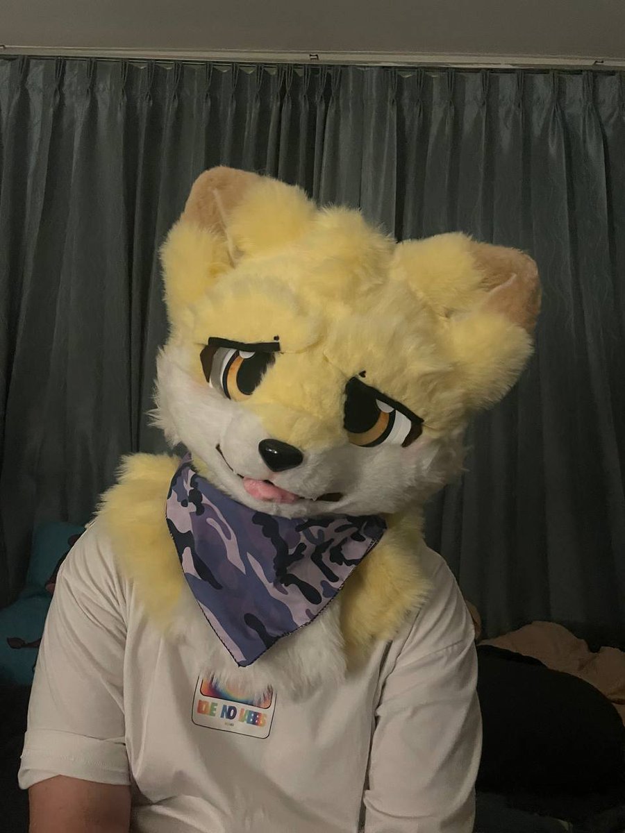 I let my friend wear my fursuit
