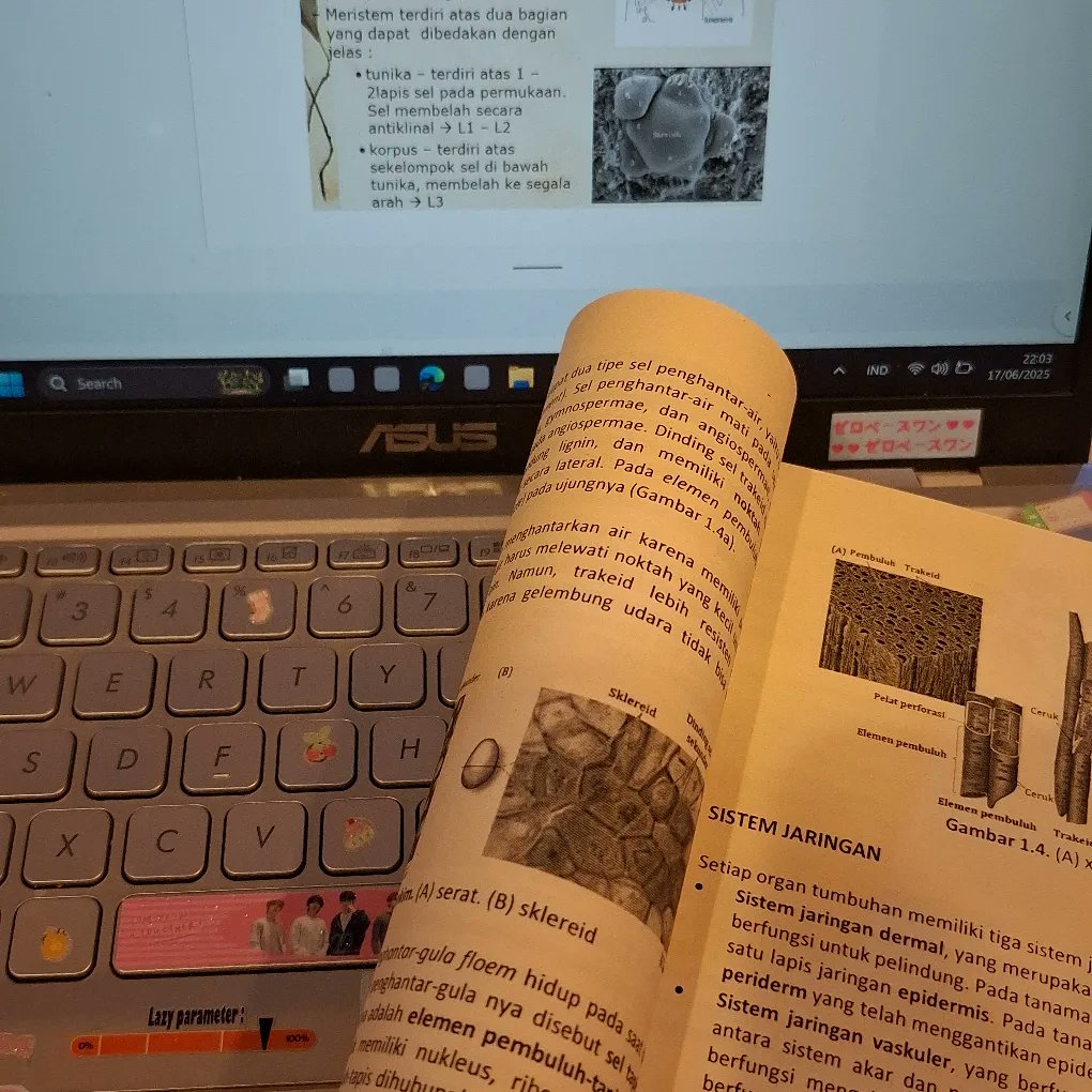 ⋆a! ai²⁷₊🍮 tweet media