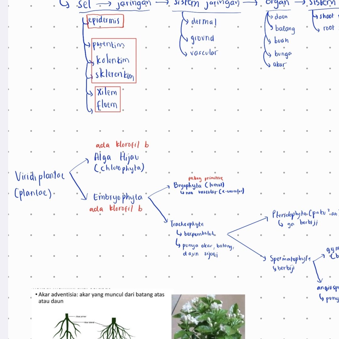 ⋆a! ai²⁷₊🍮 tweet media
