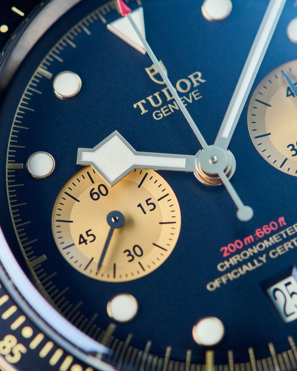 European Watch Co tweet media