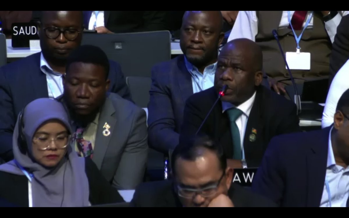 1/2. Malawi 🇲🇼, speaking for the <a href="/LDCChairUNFCCC/">LDC Chair</a>   on participation of women, highlights the serious implications that the group and many other developing country delegates have faced due to not receiving Schengen Visa’s to attend the #JuneClimateMeetings.
