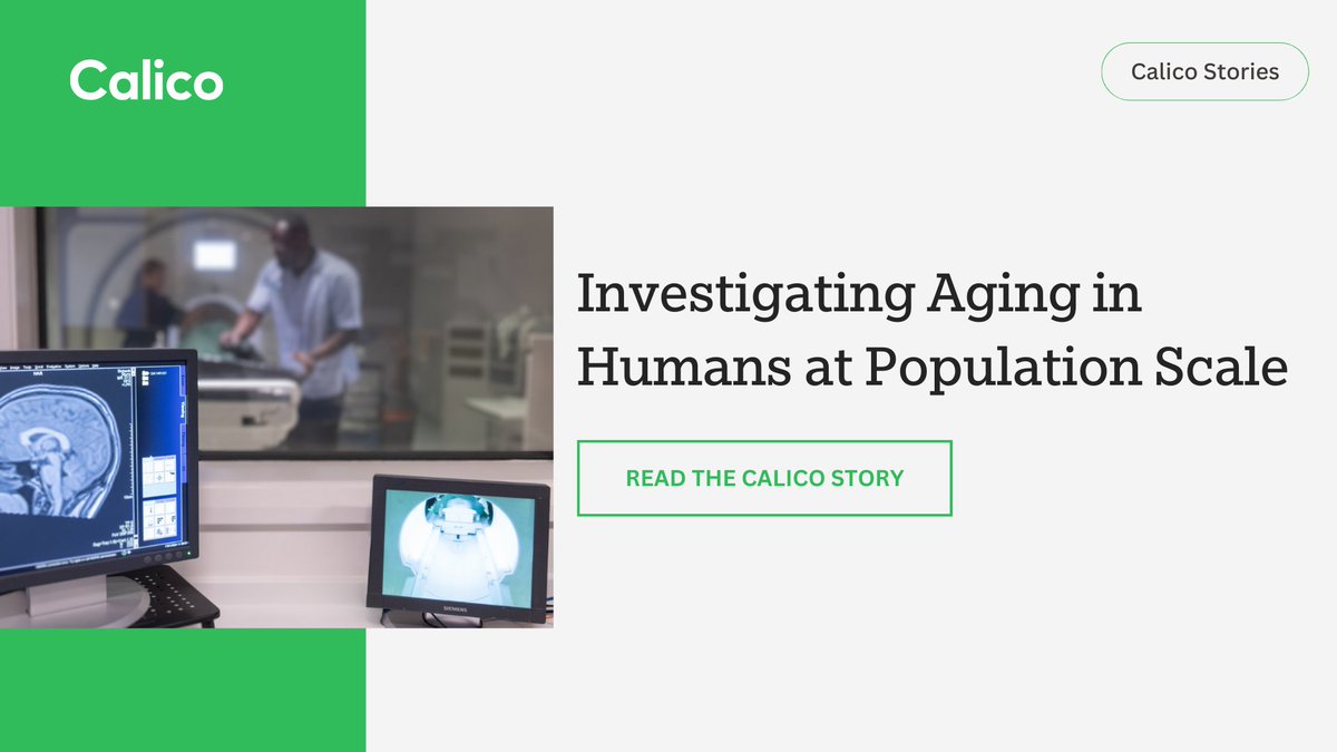 calico's tweet image. Aging doesn’t look the same for everyone.
With data collected by UK Biobank, we’re studying how genetics shape traits as we age, using large, diverse populations to bridge foundational research and human biology.
Read the story: calicolabs.com/story/investig…