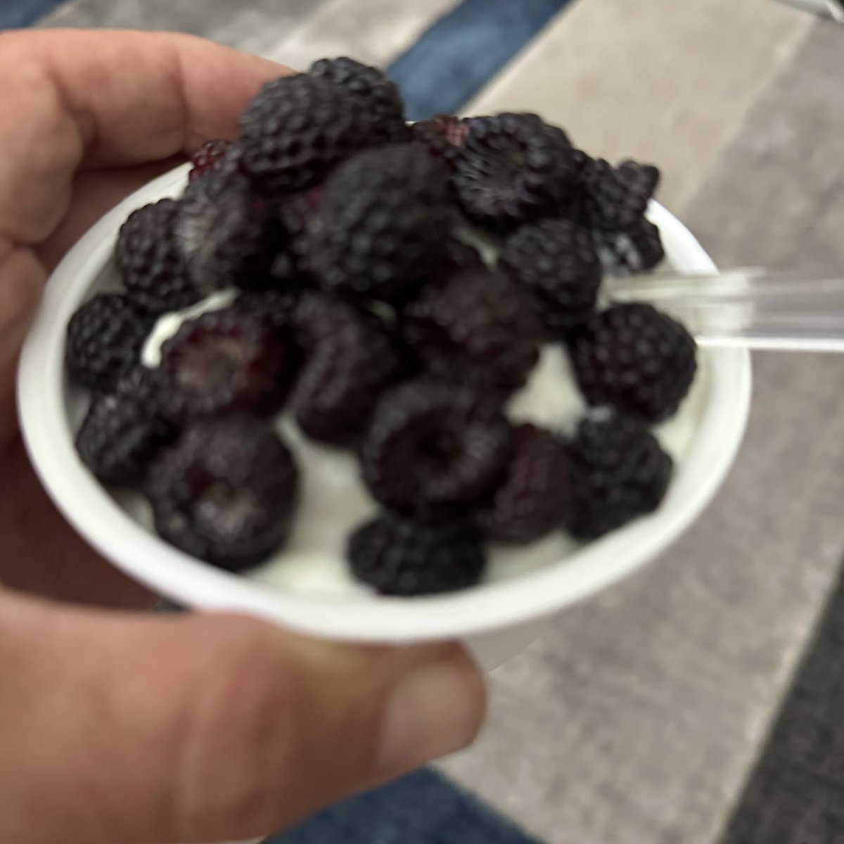 Fresh raspberries from my patch.   So enjoyable!!