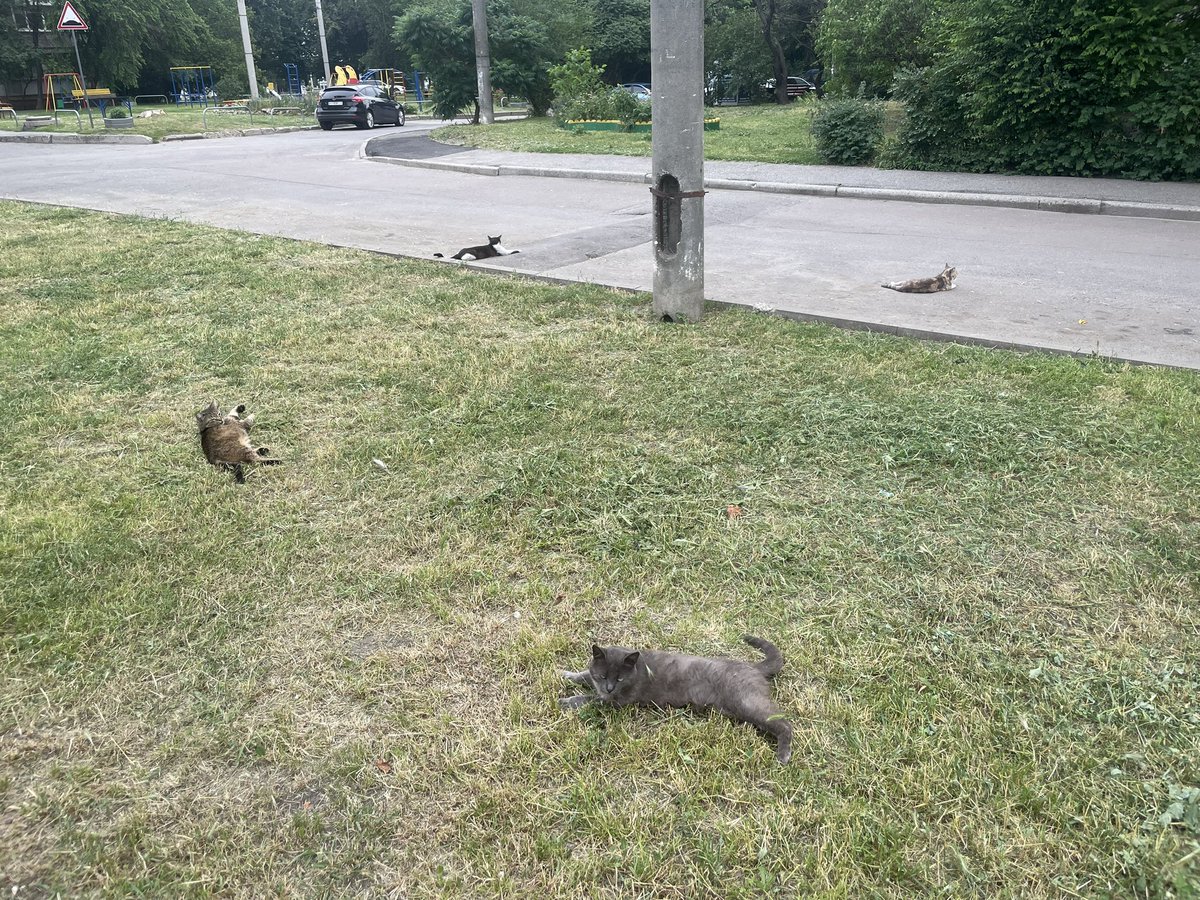 Зараз прийде ще один і буде пентаграма