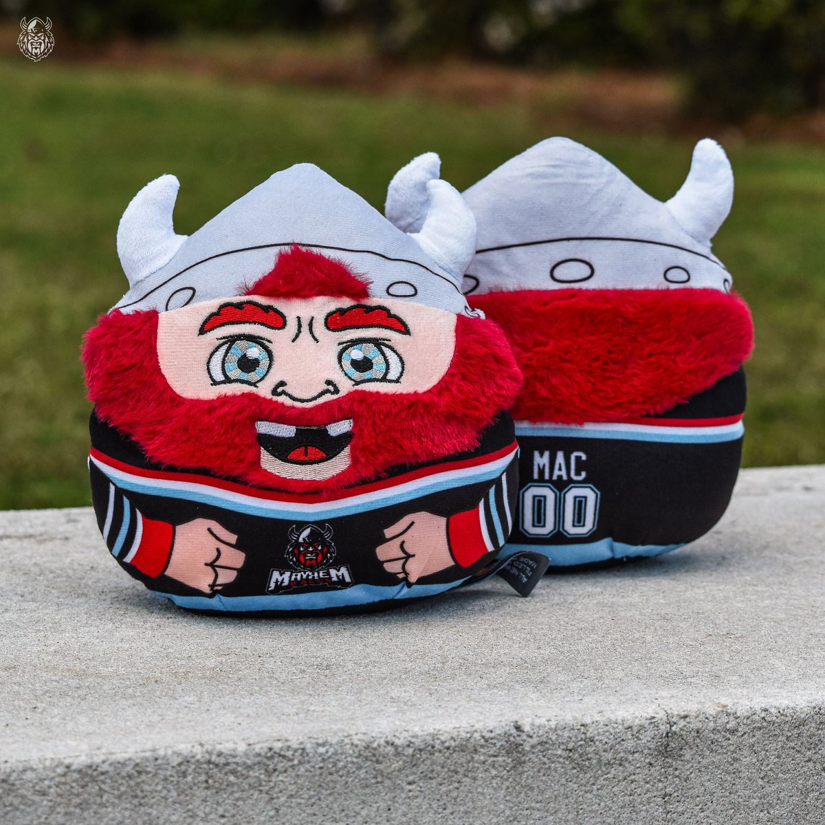 Happy National Mascot Day to the 𝘽𝙀𝙎𝙏 𝙈𝘼𝙎𝘾𝙊𝙏 in the SPHL!

Celebrate Mac with your own Mac Smashscot from our team store!

Shop here: bit.ly/407NFi0 

#AllOutMayhem