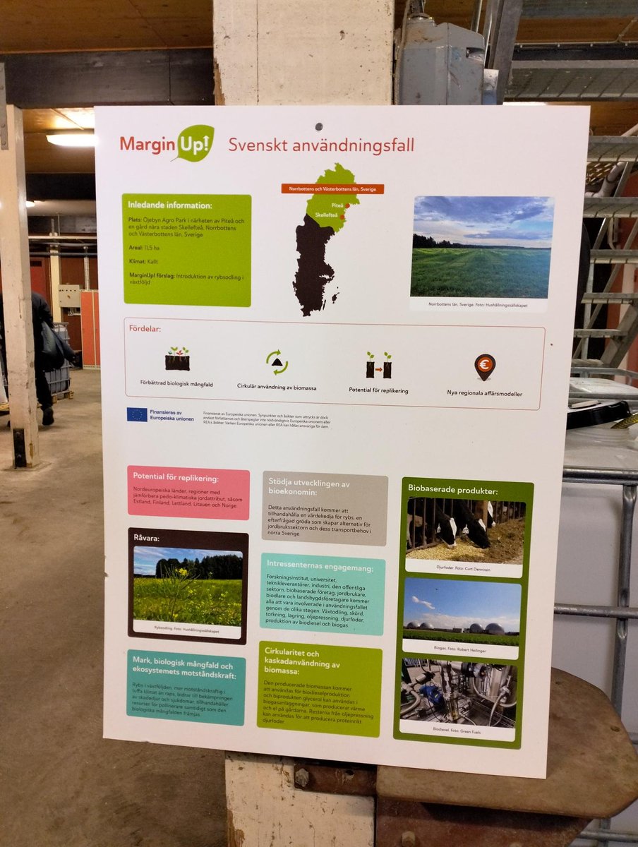 📢 Live from Pitea, Sweden – <a href="/MarginUp_EU/">MarginUp!</a> General Assembly

The 2nd MarginUp! General Assembly kicked off today with a field visit to the Swedish Use Case – a great opportunity to connect, learn, and explore sustainable innovation in action.

Our colleague visited the RISE