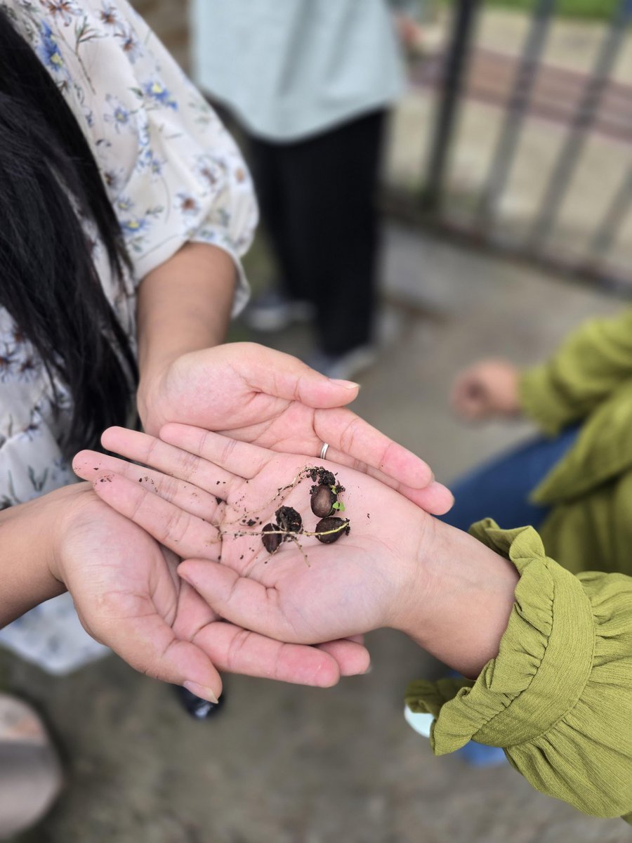 nld_shew's tweet photo. A plantation drive was carried out at the premises of the Mission Shakti office and the WCD Control Room, led by Bodeno S. Colo, Secretary, Social Welfare.
"Let’s nurture the Earth, just as she has always nurtured us" #EkPedMaaKeNaam #worldenvironmentday2025 https://t.co/MRkqJxerkS