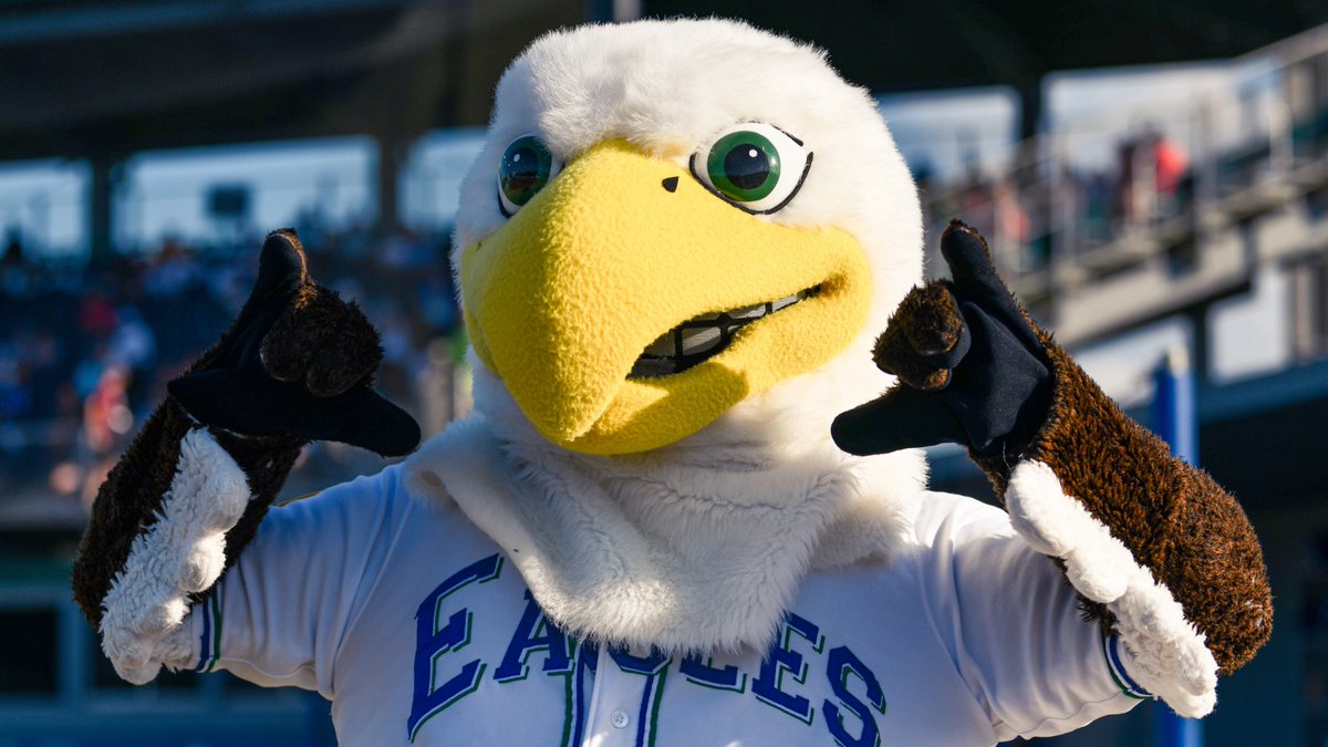 Celebrating the bird, the myth, the legend today! 
Happy National Mascot Day, Azul🦅

#WingsUp