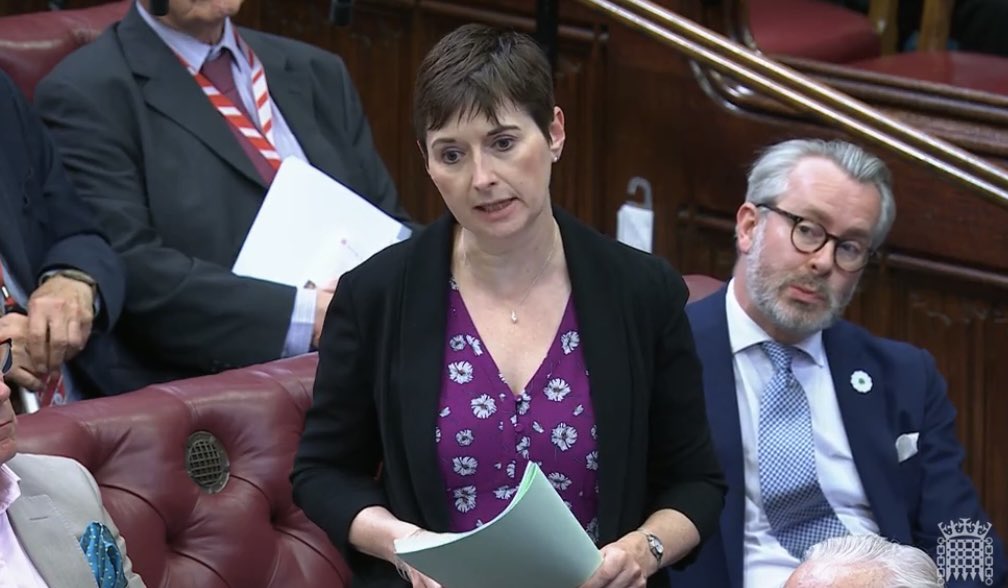 Caroline Pidgeon (@carolinepidgeon) on Twitter photo Today I raised with the Minister the great reporting from Jim Waterson <a href="/London_Centric/">London Centric</a> and the need for comprehensive insurance for hire bike operators given the serious injuries A&Es are seeing, known locally as “Lime Leg”. Today I raised with the Minister the great reporting from Jim Waterson <a href="/London_Centric/">London Centric</a> and the need for comprehensive insurance for hire bike operators given the serious injuries A&Es are seeing, known locally as “Lime Leg”.